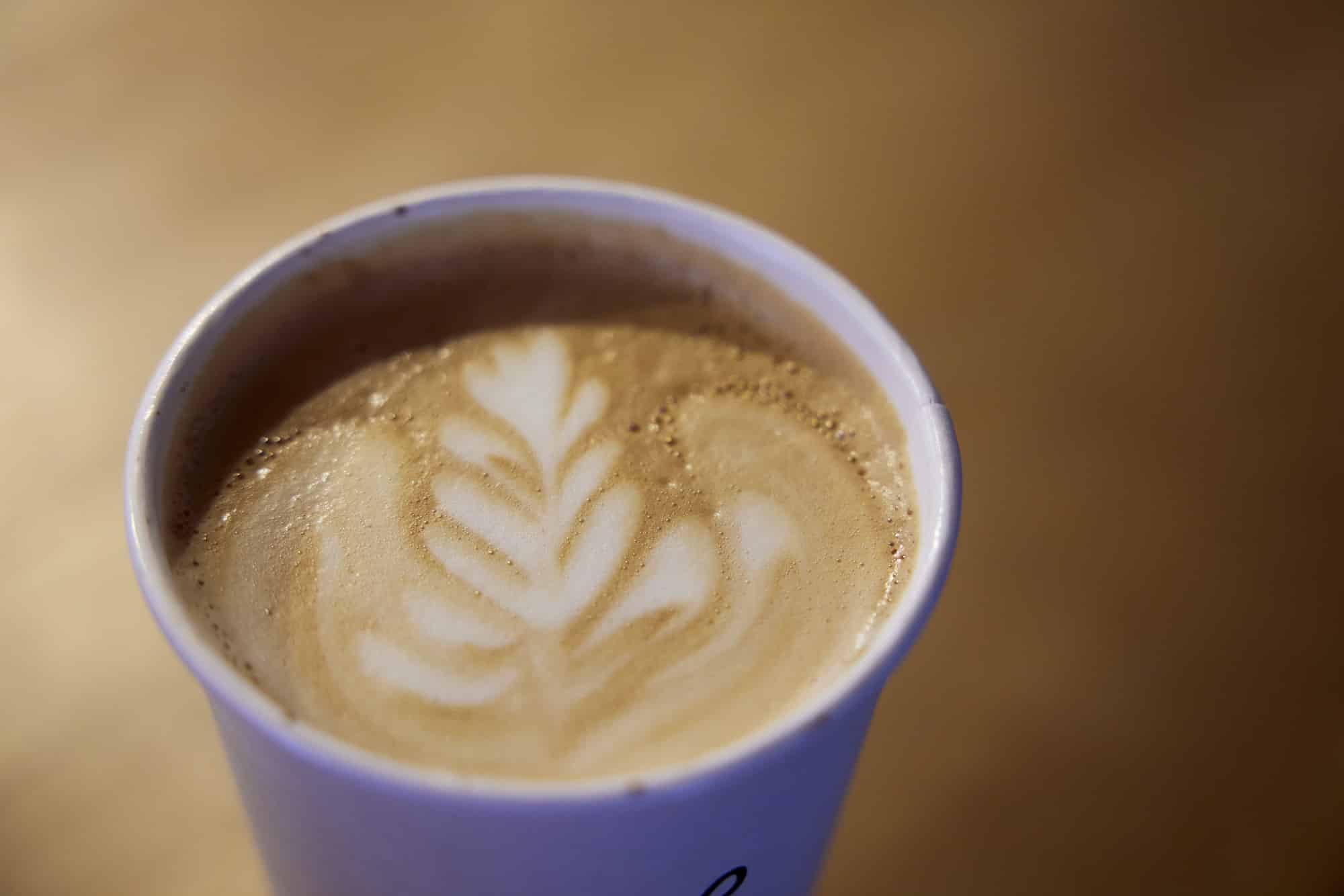 505courtland lifestyle 015